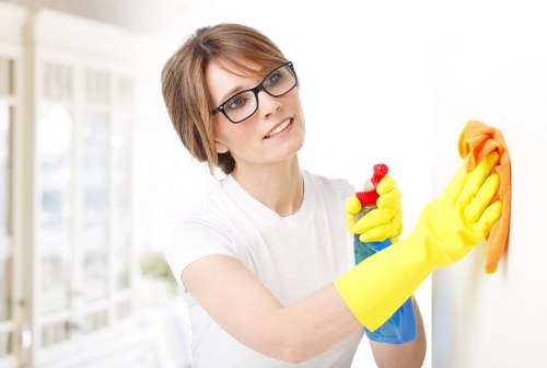 Screen-reader compatible local cleaning website information
