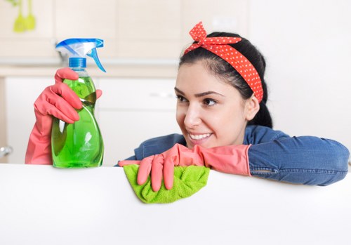 Detailed carpet care by West Ealing cleaning specialists
