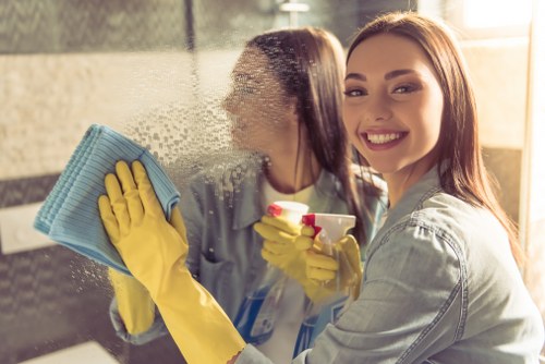 Professional pet odour removal process in a West Ealing property